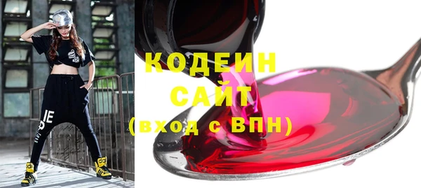 хмурый Богородицк