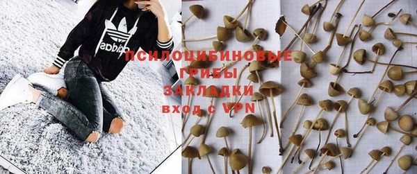 первитин Богданович