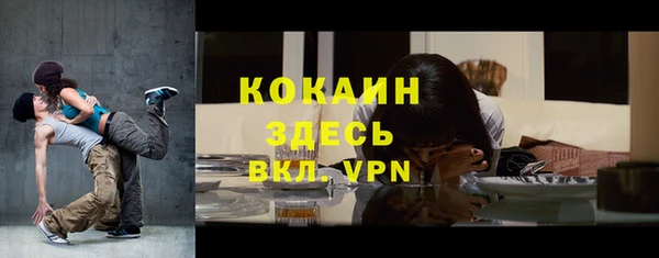 первитин Богданович